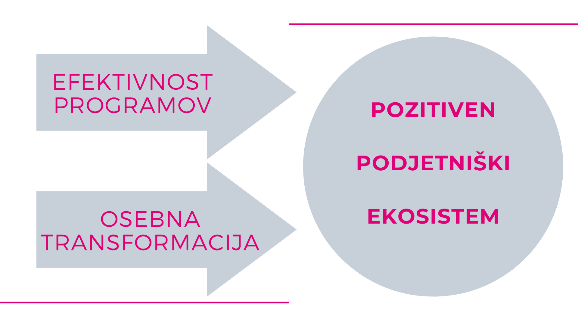 Tretji segment: spretnosti podjetništva za podjetja, usmerjena v rast